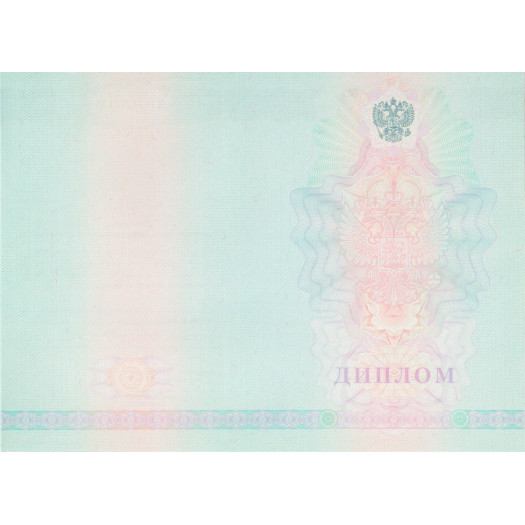 Диплом колледжа 2008-2010 Диплом колледжа 2008-2010