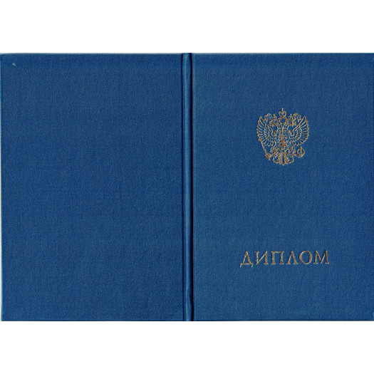 Диплом техникума 2017-2024 Диплом техникума 2017-2024