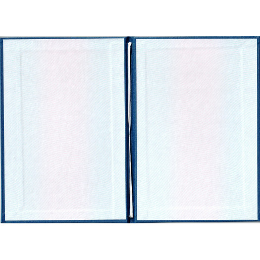 Диплом техникума 2017-2024 Диплом техникума 2017-2024