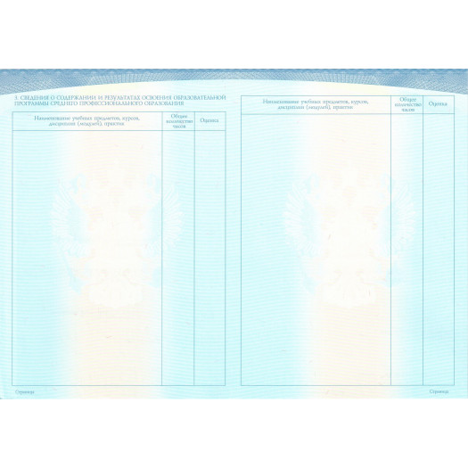 Диплом техникума 2017-2024 Диплом техникума 2017-2024