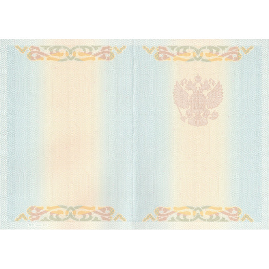 Диплом бакалавра 2004-2008 Диплом бакалавра 2004-2008