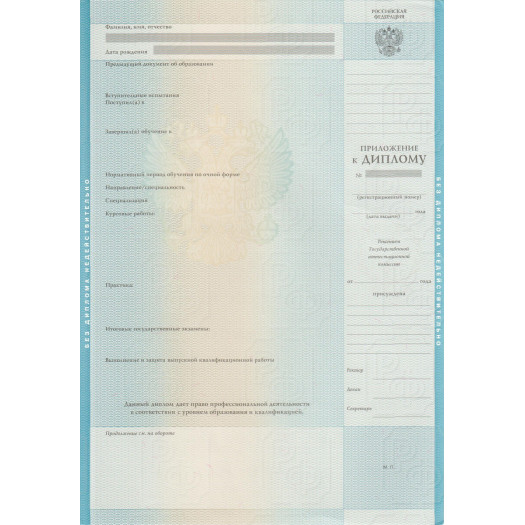 Диплом бакалавра 2009-2010 Диплом бакалавра 2009-2010