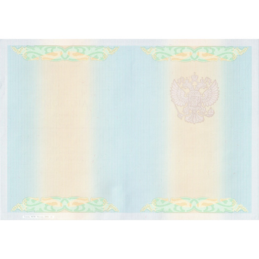 Диплом бакалавра 2009-2010 Диплом бакалавра 2009-2010