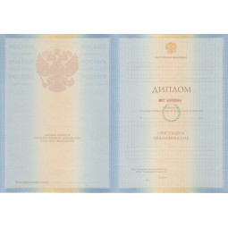 Диплом специалиста 2009-2010