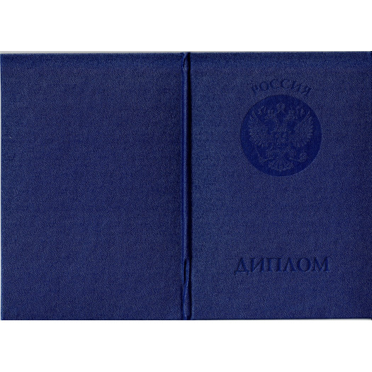 Диплом бакалавра 2012-2013 Диплом бакалавра 2012-2013