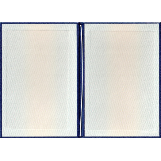 Диплом бакалавра 2012-2013 Диплом бакалавра 2012-2013