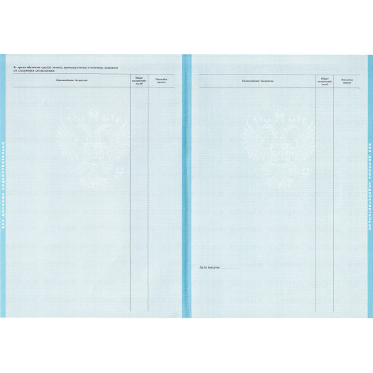 Диплом для иностранцев 1997-2008 Диплом для иностранцев 1997-2008