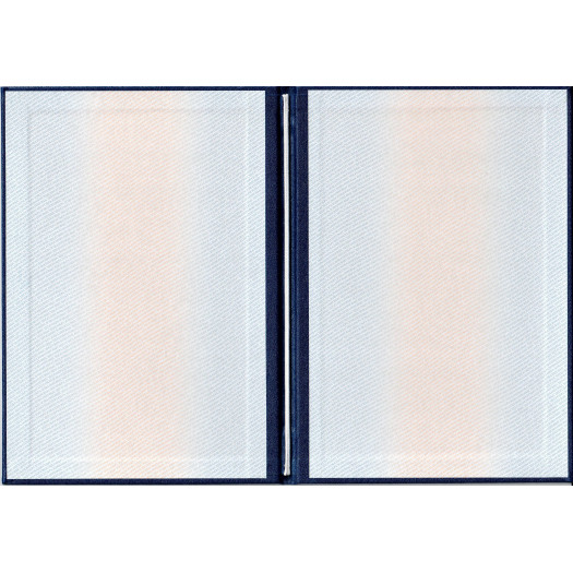 Диплом магистра 2013 Диплом магистра 2013