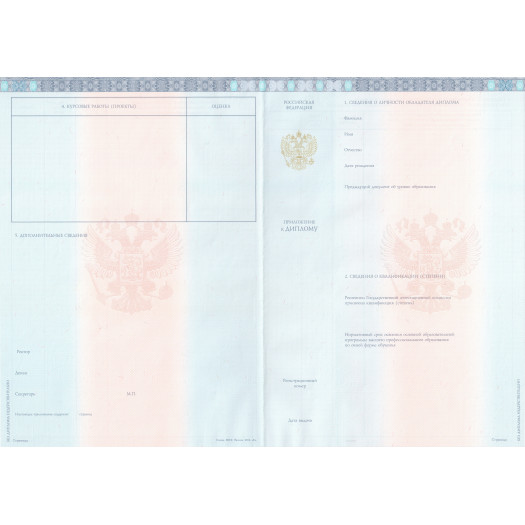 Диплом магистра 2013 Диплом магистра 2013