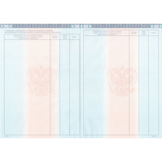 Диплом магистра 2013 Диплом магистра 2013