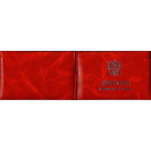 Диплом кандидата наук 2000-2005 Диплом кандидата наук 2000-2005