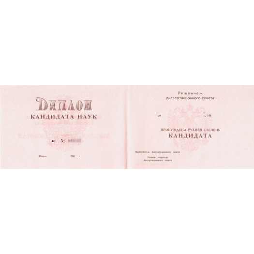 Диплом кандидата наук 2000-2005 Диплом кандидата наук 2000-2005
