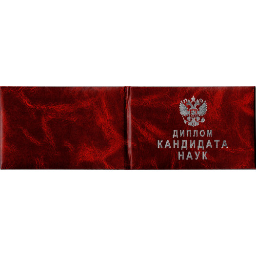 Диплом кандидата наук 2000-2005 Диплом кандидата наук 2000-2005