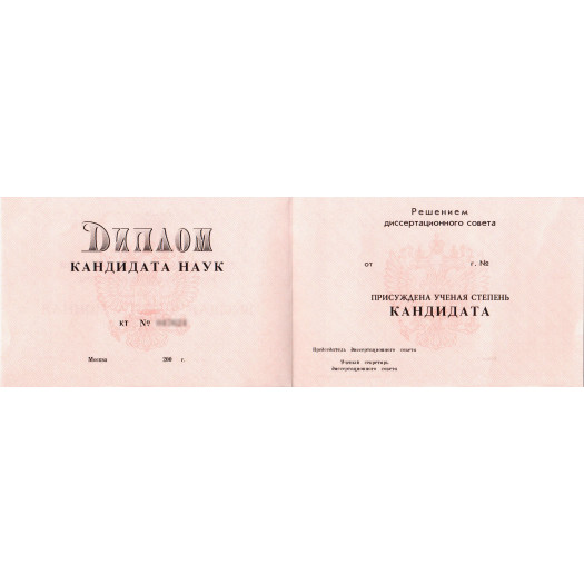 Диплом кандидата наук 2000-2005 Диплом кандидата наук 2000-2005