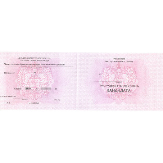 Диплом кандидата наук 2013-2023
