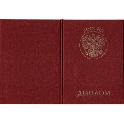 Диплом о профессиональной переподготовке 2010-2013