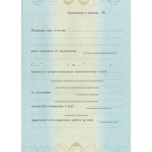 Диплом о профессиональной переподготовке 2010-2013