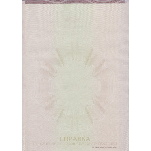 Академическая справка ВУЗа 2015-2026 Академическая справка ВУЗа 2015-2026